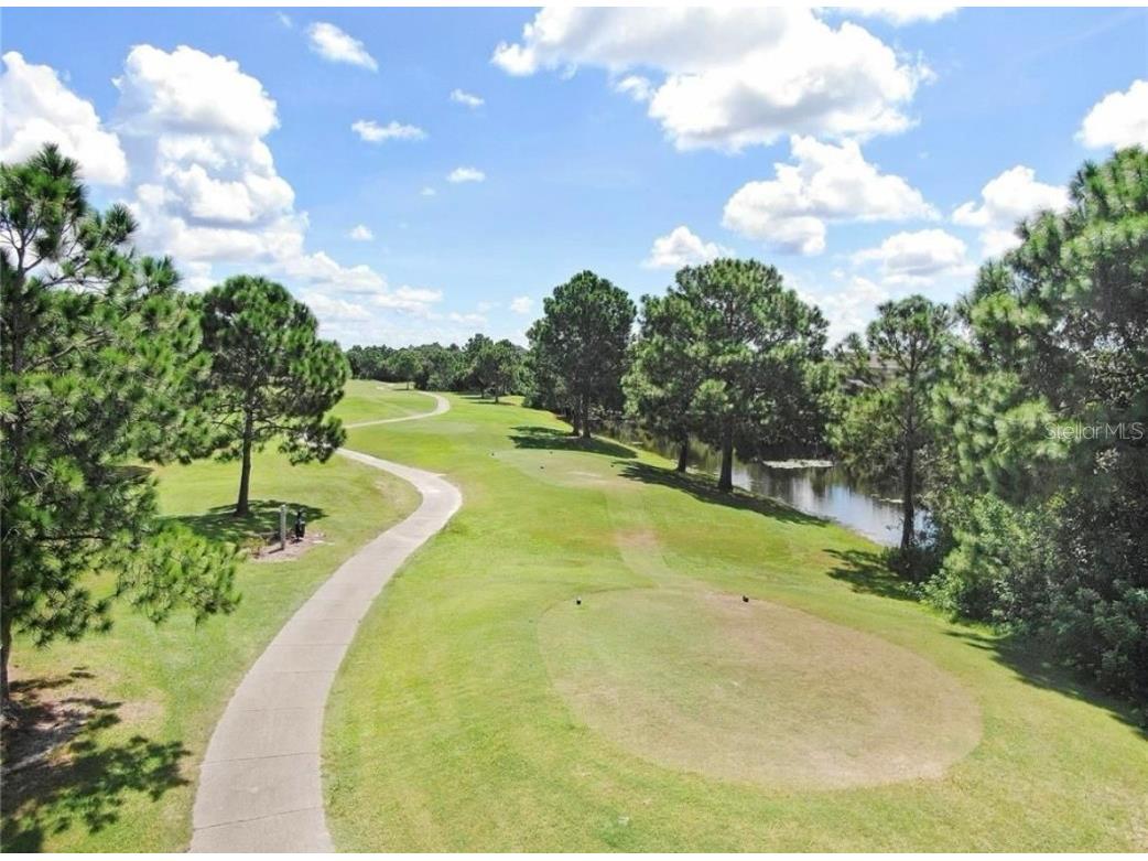 11567 Misty Isle Lane Riverview FL 33579 A4665161 image46