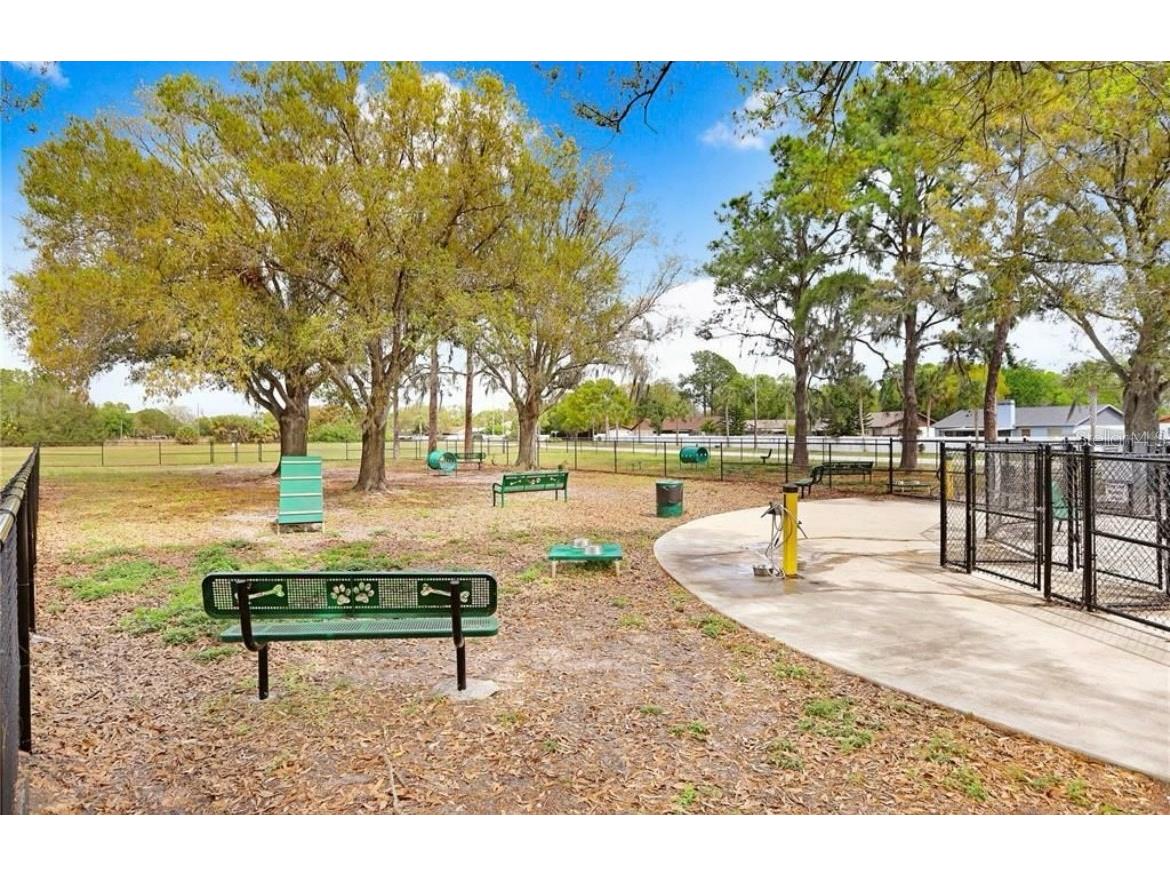 11567 Misty Isle Lane Riverview FL 33579 A4665161 image53