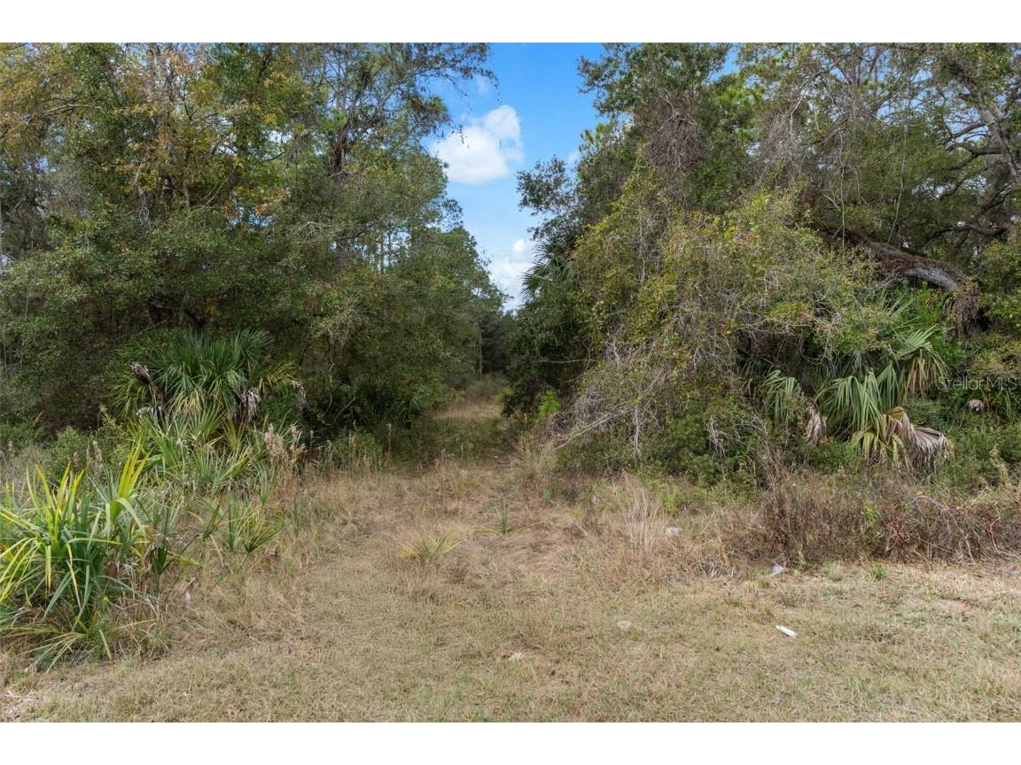 11570 W Garnet Court Crystal River FL 34428 OM714316 image24