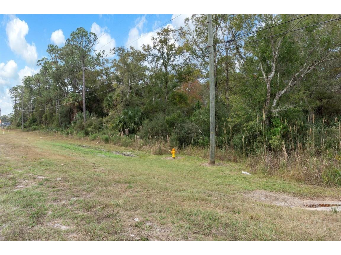 11570 W Garnet Court Crystal River FL 34428 OM714316 image26