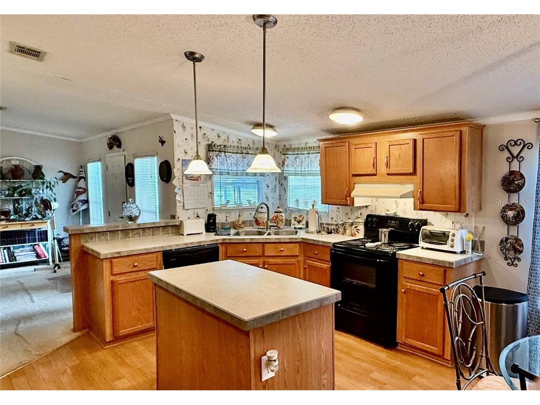 11571 NE 83rd Terrace Bronson FL 32621 OM707656 image6