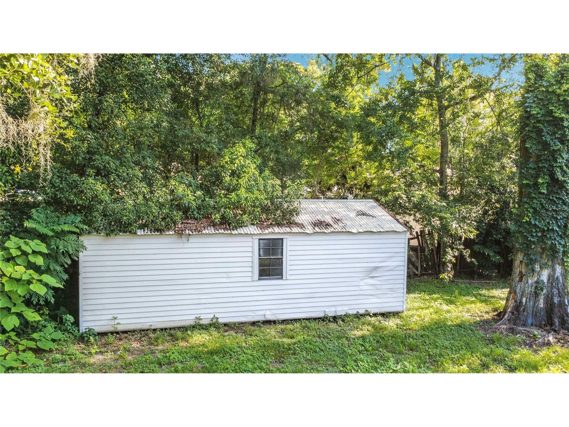 11572 SE 60th Avenue Belleview FL 34420 G5114205 image42