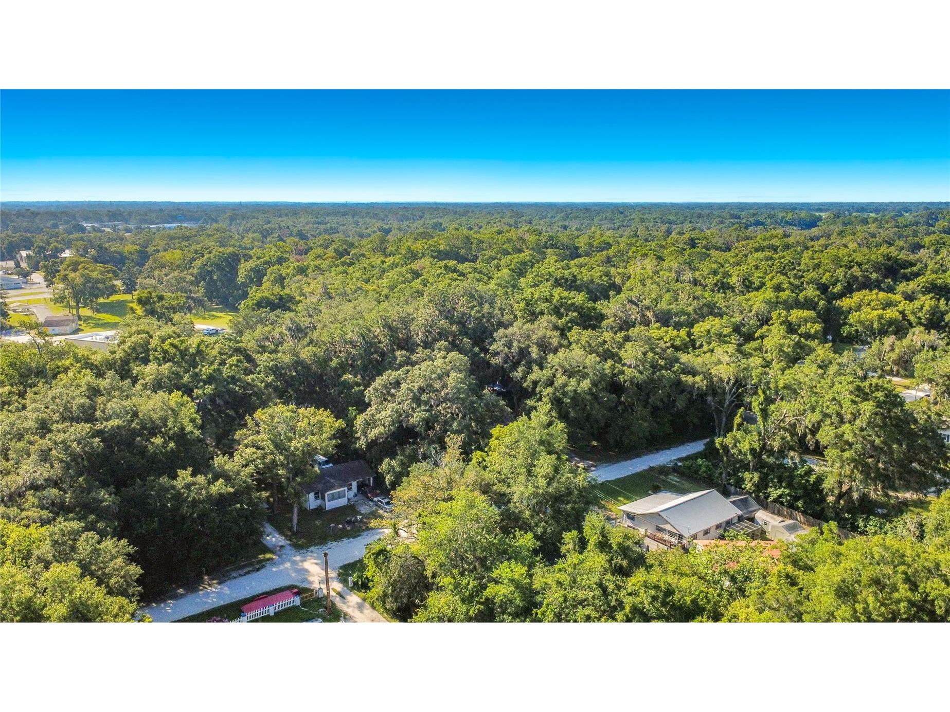 11572 SE 60th Avenue Belleview FL 34420 G5114205 image43