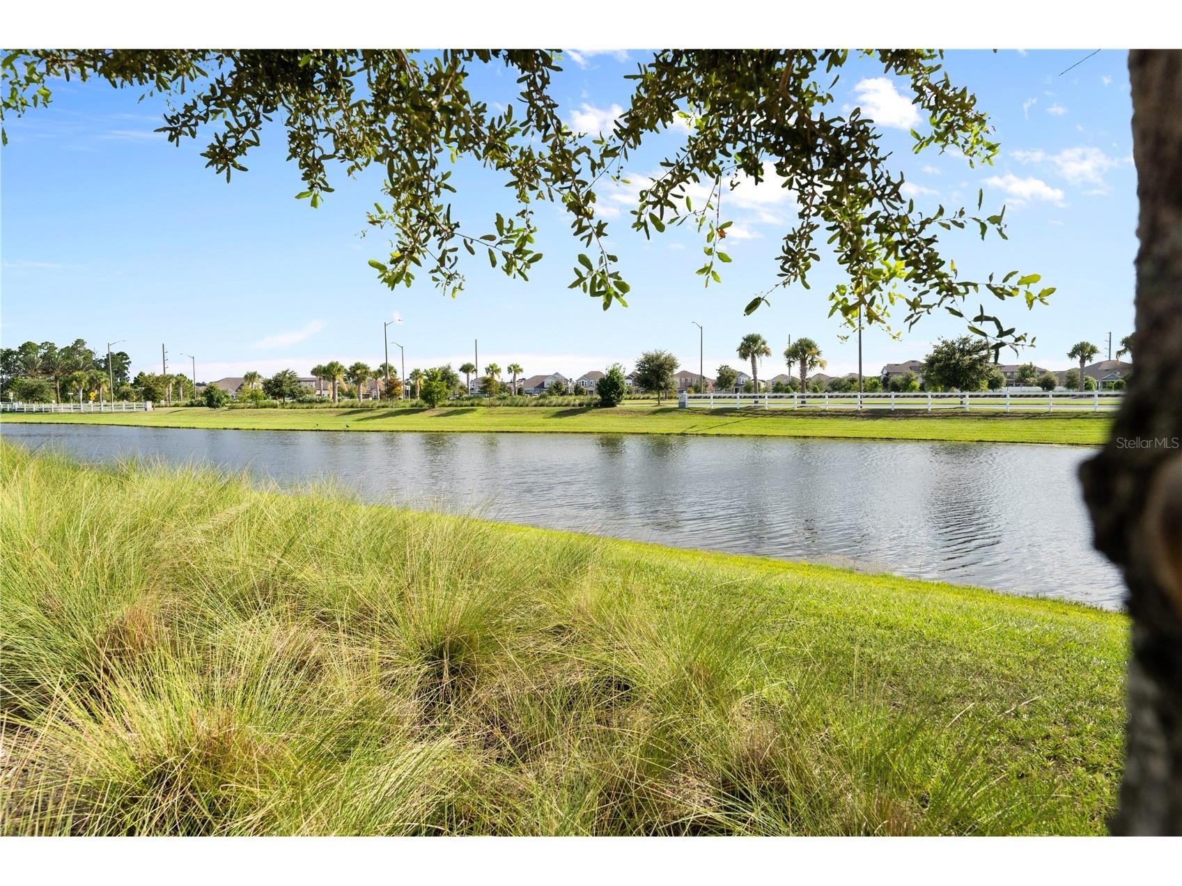 11574 Buoy Point Place Orlando FL 32832 O6427162 image33