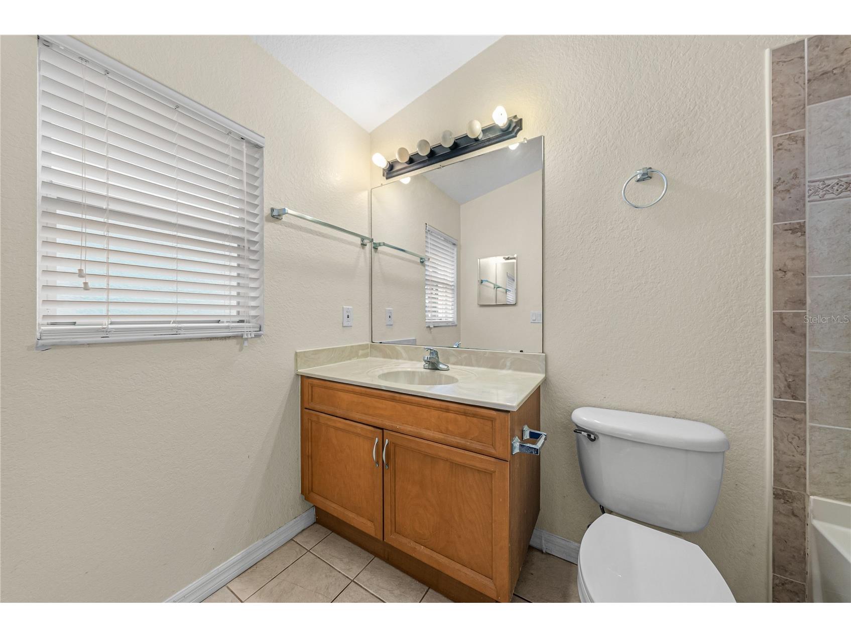 11578 Hammocks Glade Drive Riverview FL 33569 TB8496781 image19