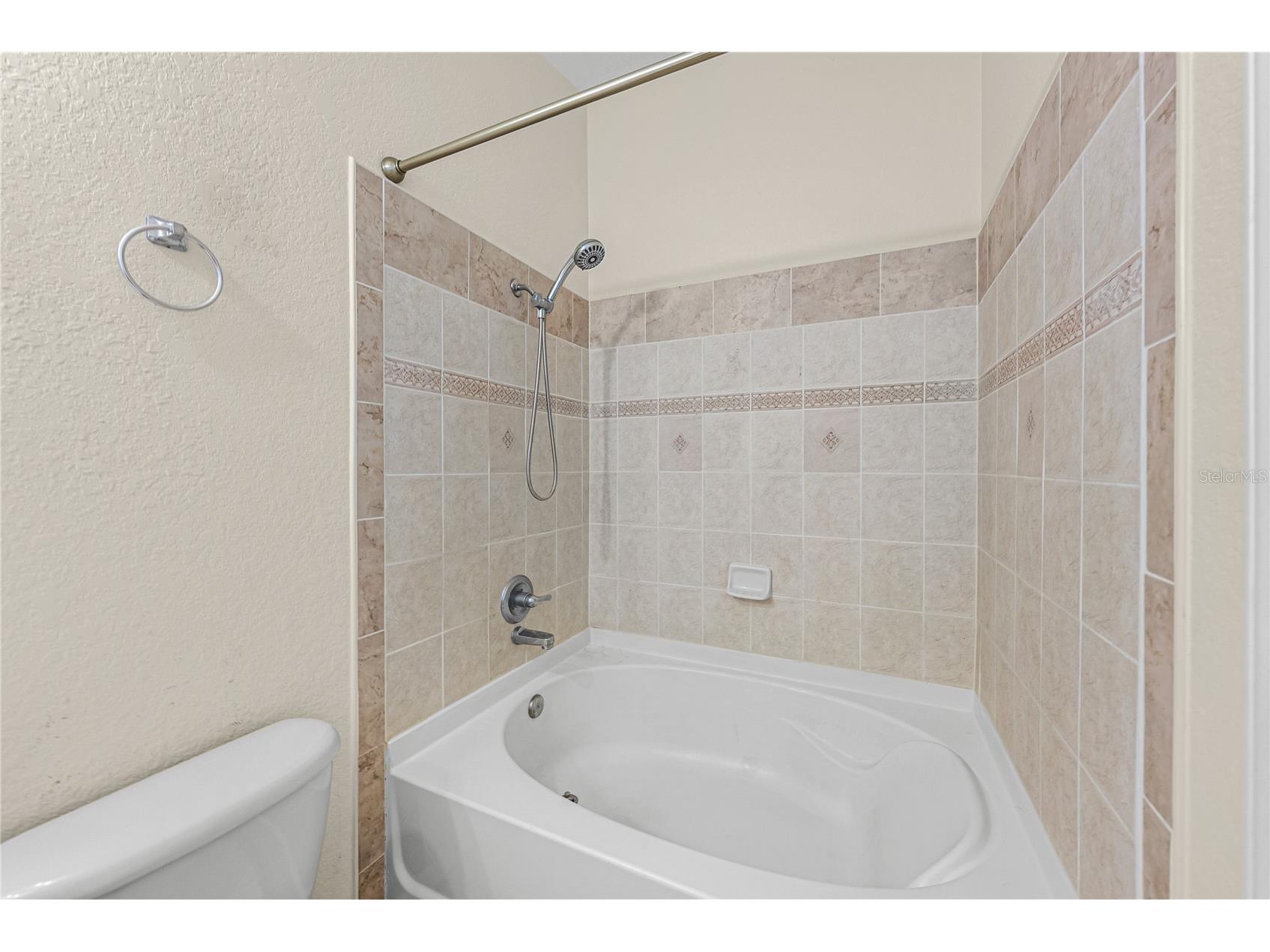 11578 Hammocks Glade Drive Riverview FL 33569 TB8496781 image20