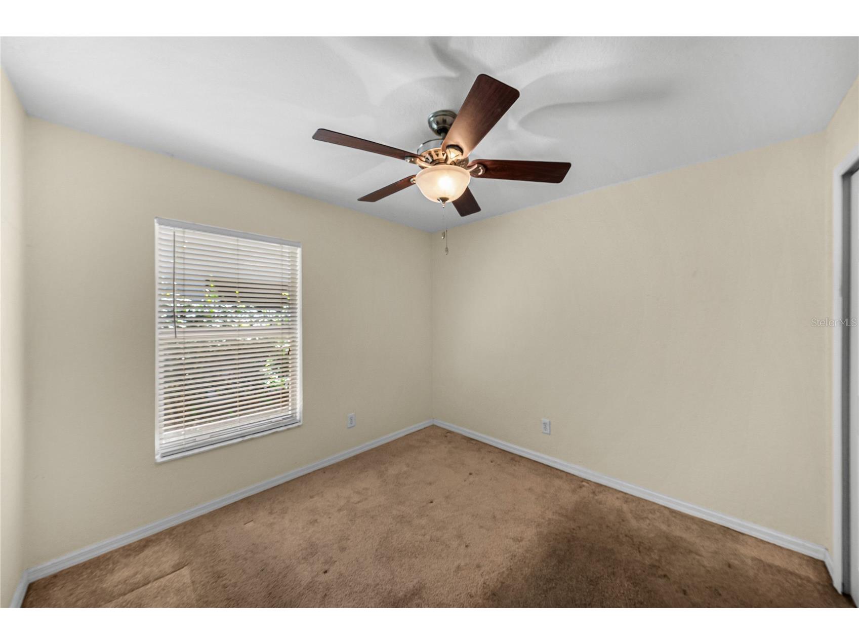 11578 Hammocks Glade Drive Riverview FL 33569 TB8496781 image21