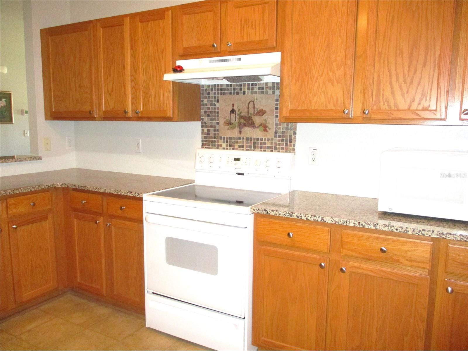 11579 SW 140th Loop Dunnellon FL 34432 OM723349 image10