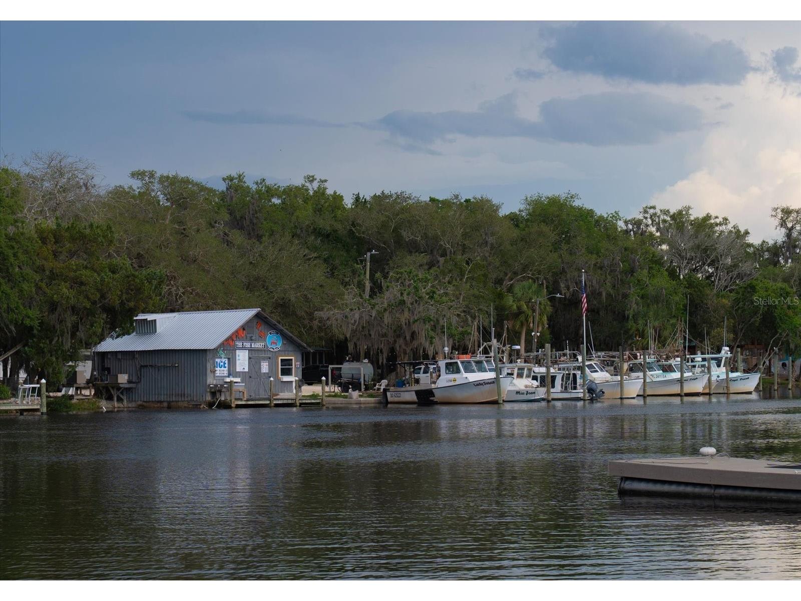 11579 W Rosa Court Homosassa FL 34448 - CANAL OF HOMOSASSA RIVER TB8510772 image58