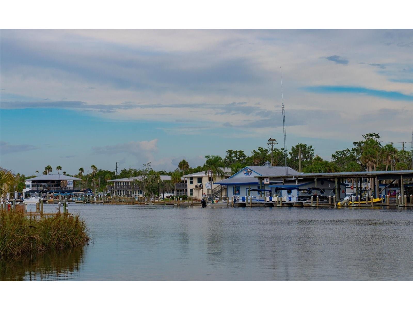 11579 W Rosa Court Homosassa FL 34448 - CANAL OF HOMOSASSA RIVER TB8510772 image59