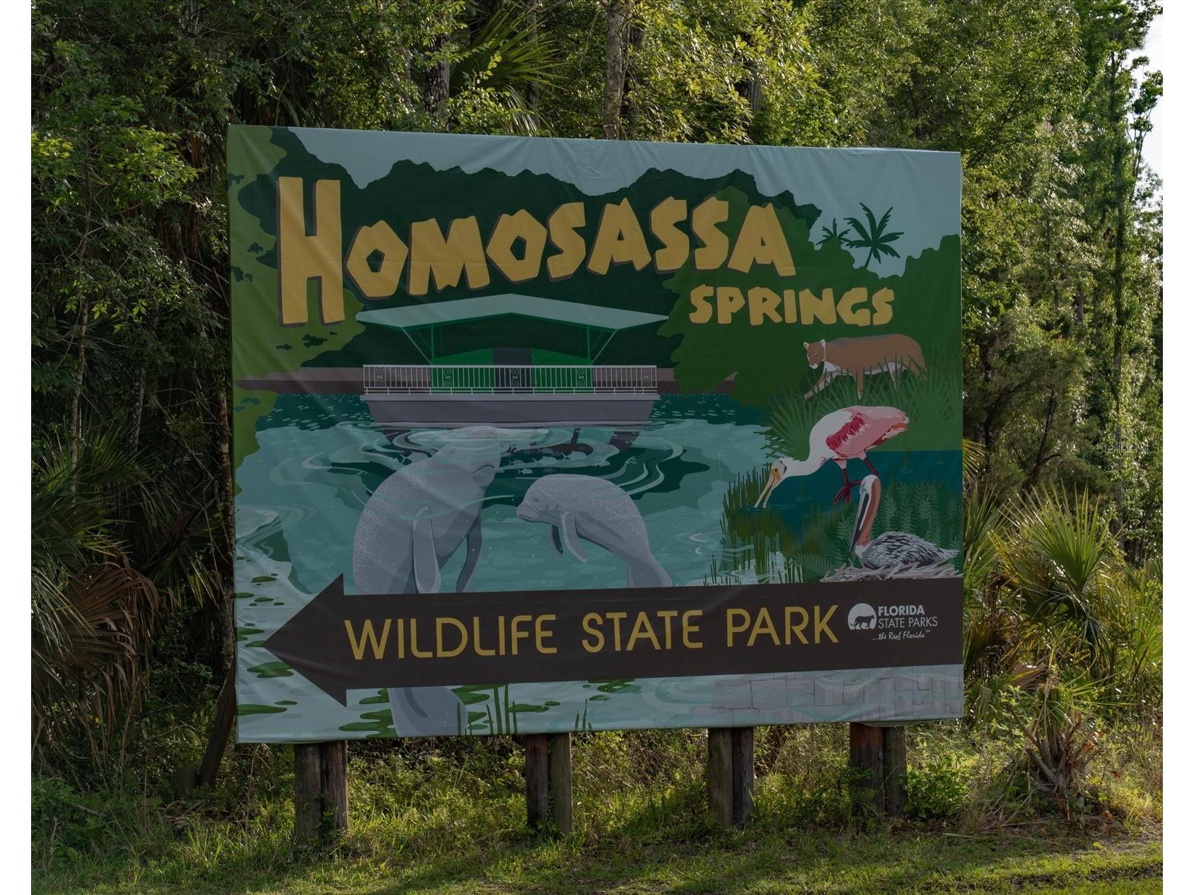 11579 W Rosa Court Homosassa FL 34448 - CANAL OF HOMOSASSA RIVER TB8510772 image68