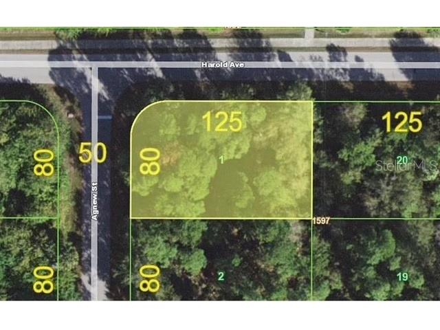 1158 Agnew Street Port Charlotte FL 33980 S5137056 image1