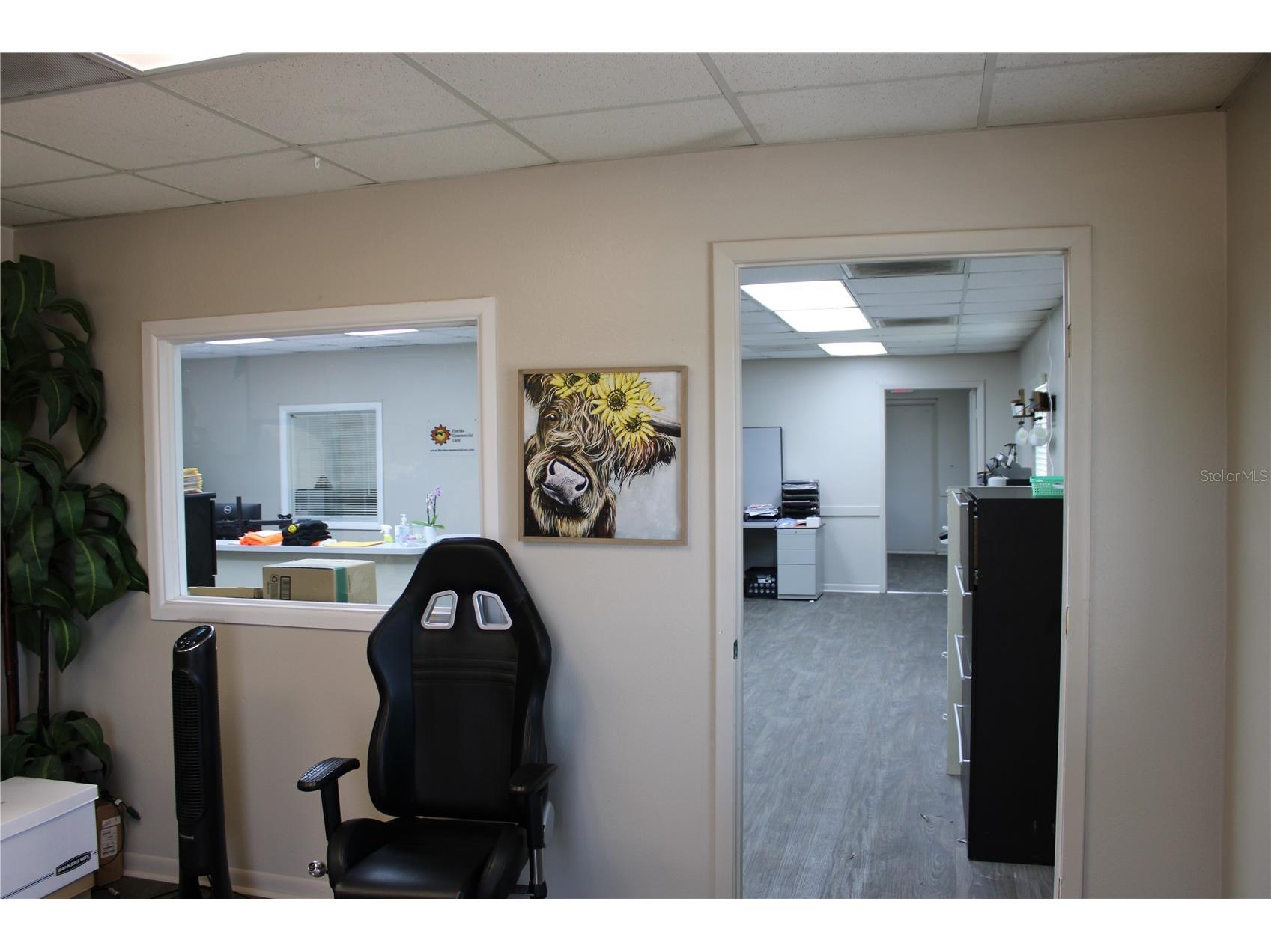 1158 Alternate Hwy 19 #1 Holiday FL 34691 TB8494848 image8