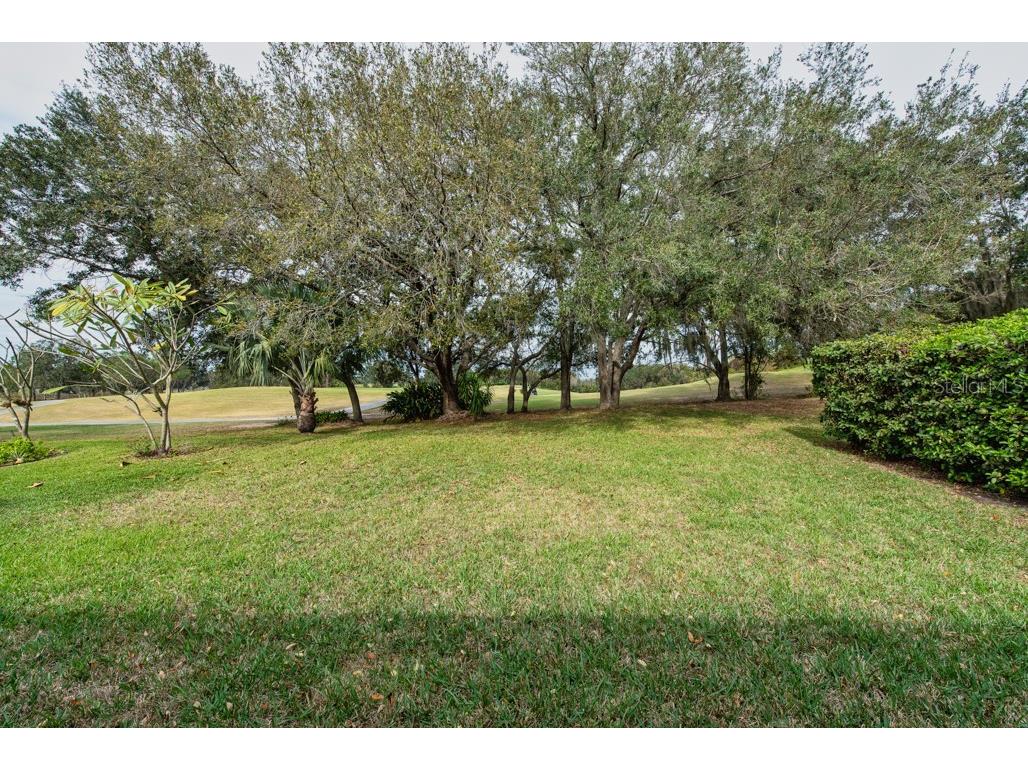 1158 Emerald Hill Way Valrico FL 33594 TB8466888 image28