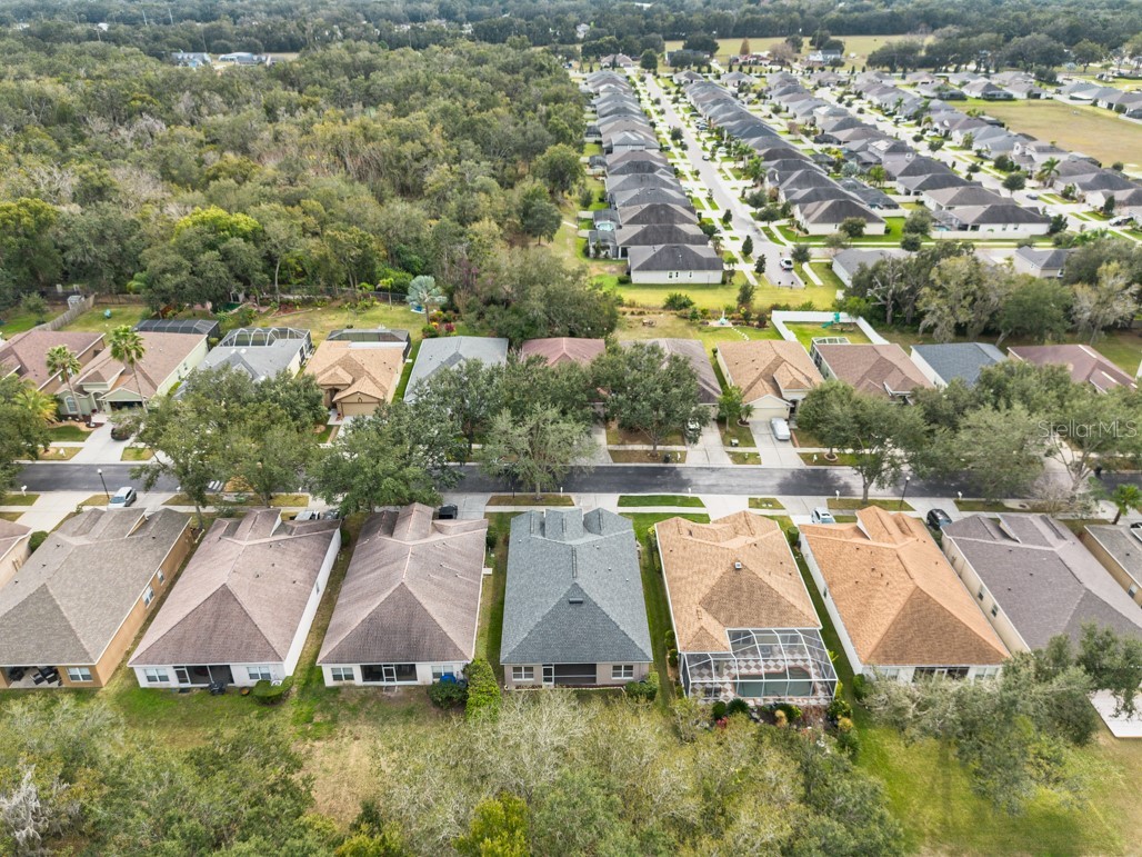 1158 Emerald Hill Way Valrico FL 33594 TB8466888 image37