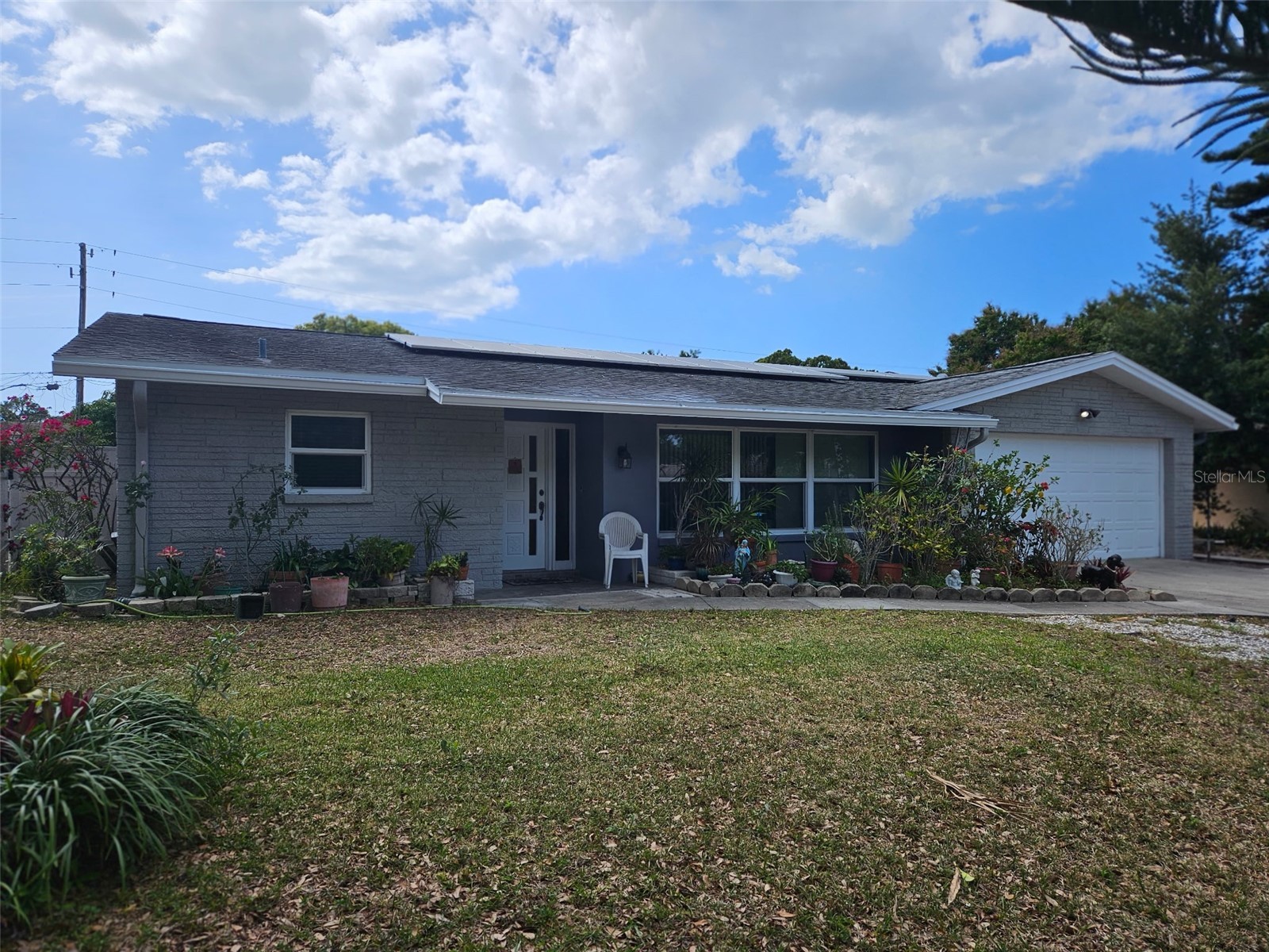 1158 Overcash Drive Dunedin FL 34698 TB8491799 image1