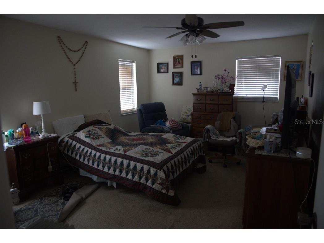 1158 Overcash Drive Dunedin FL 34698 TB8491799 image9