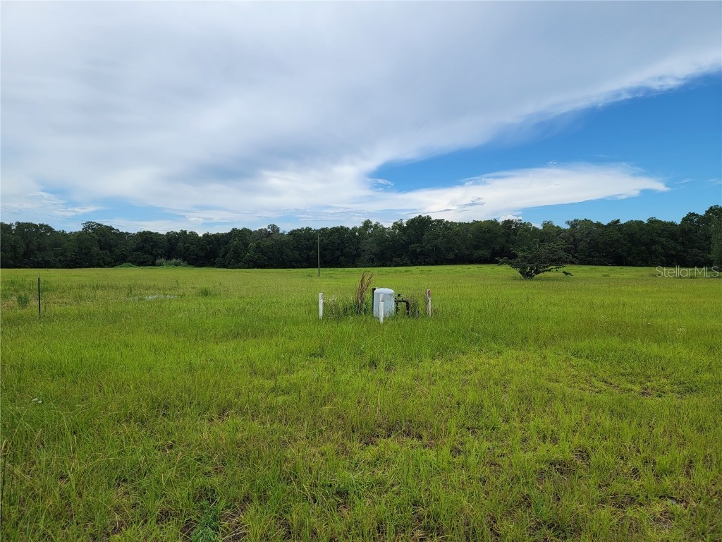 11580 SE Us Highway 441 Belleview FL 34420 G5070798 image12