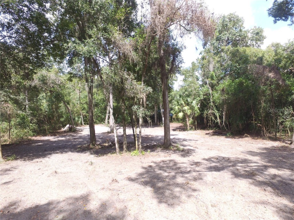 11581 E Hillcrest Court Floral City FL 34436 P4932301 image2