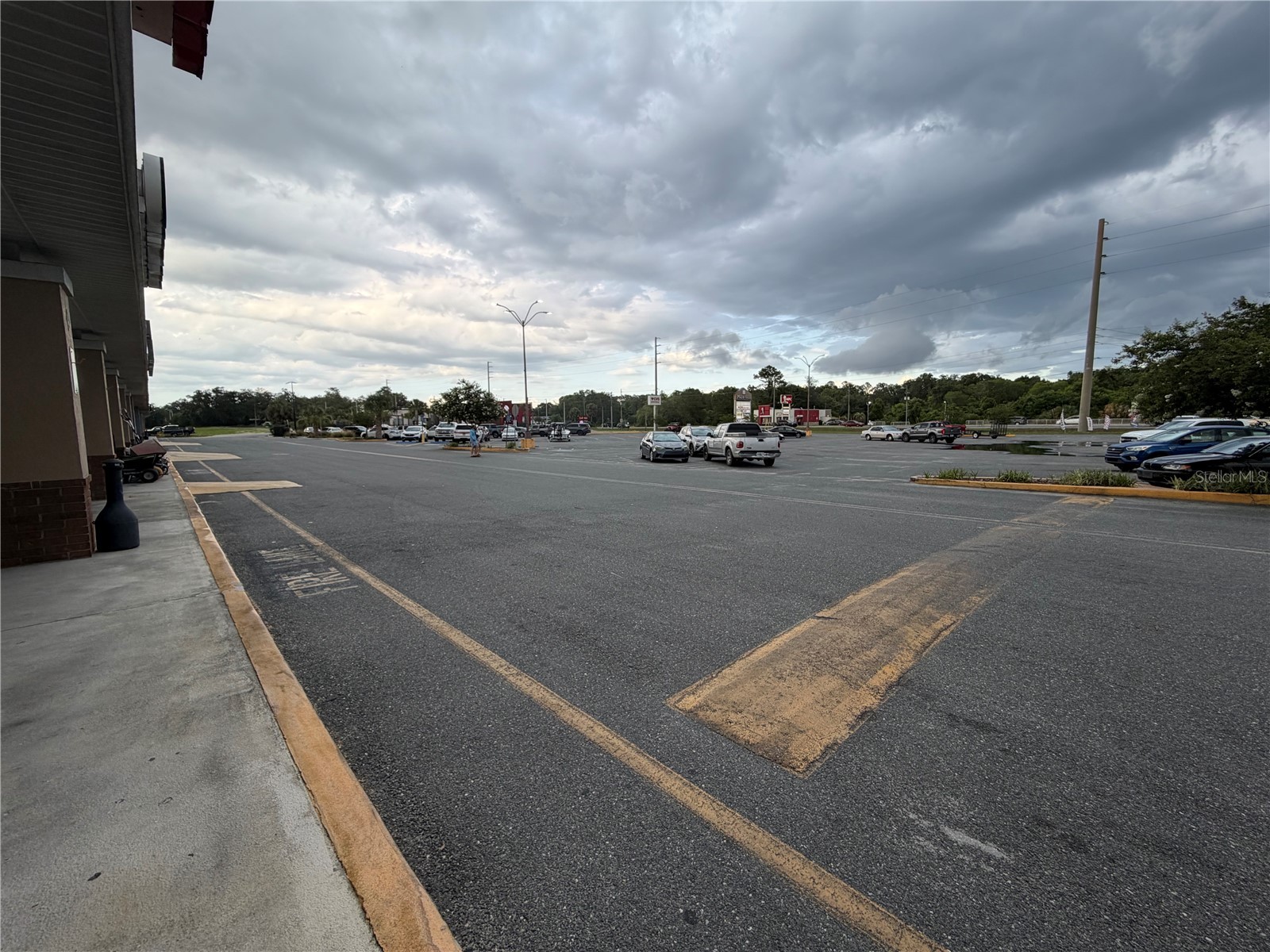 11582 N Williams Street Dunnellon FL 34432 OM725366 image5