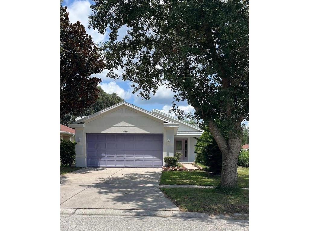 11584 Hammocks Glade Drive Riverview FL 33569 T3463640 image1