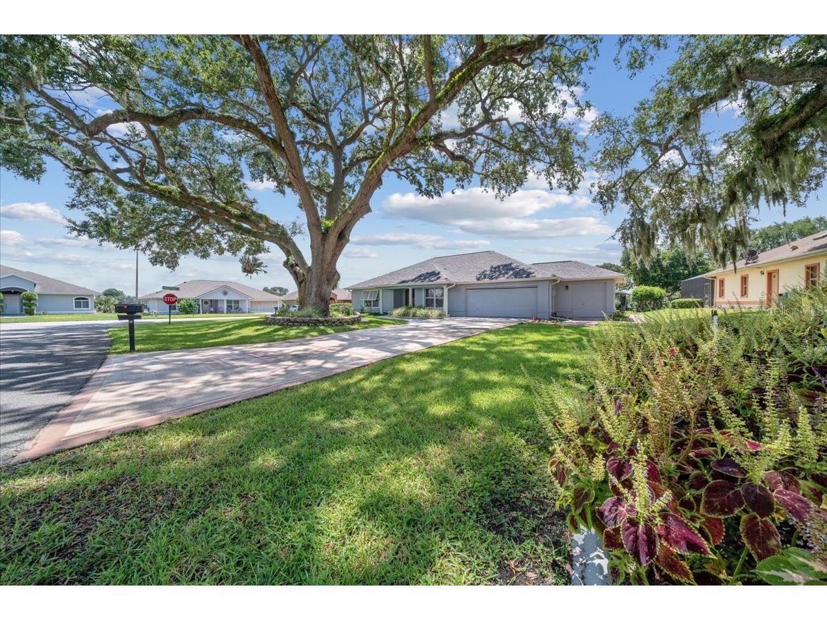 11584 SE 175th Street Summerfield FL 34491 G5101060 image66