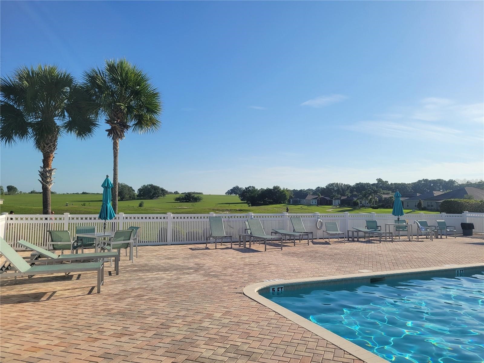 11584 SE 175th Street Summerfield FL 34491 S5151633 image59