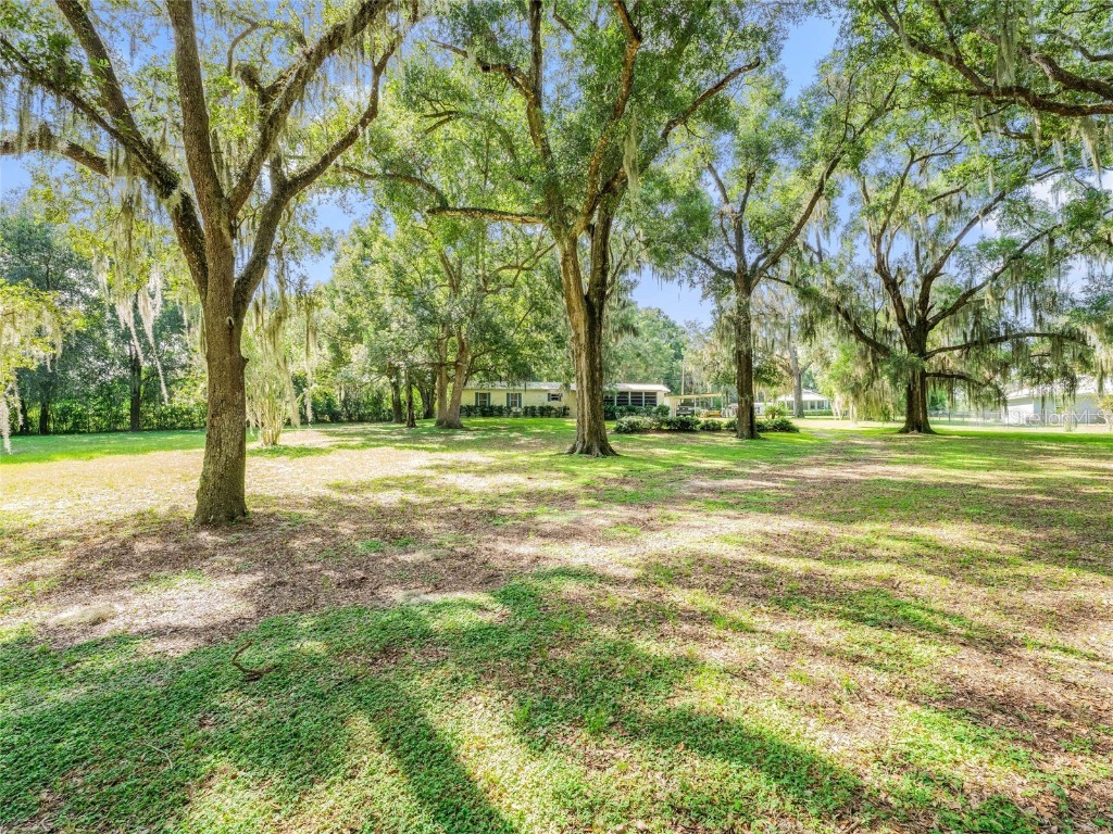 11585 SE 162nd Place Weirsdale FL 32195 G5045922 image1