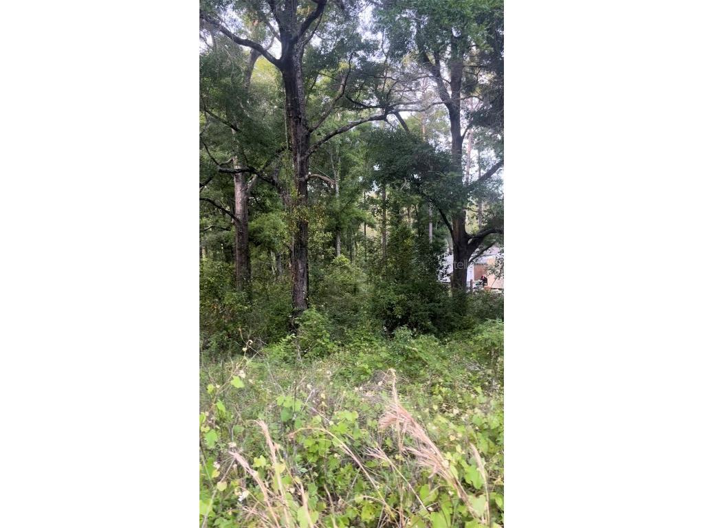 11587 NW 20th Street Ocala FL 34482 S5102727 image1