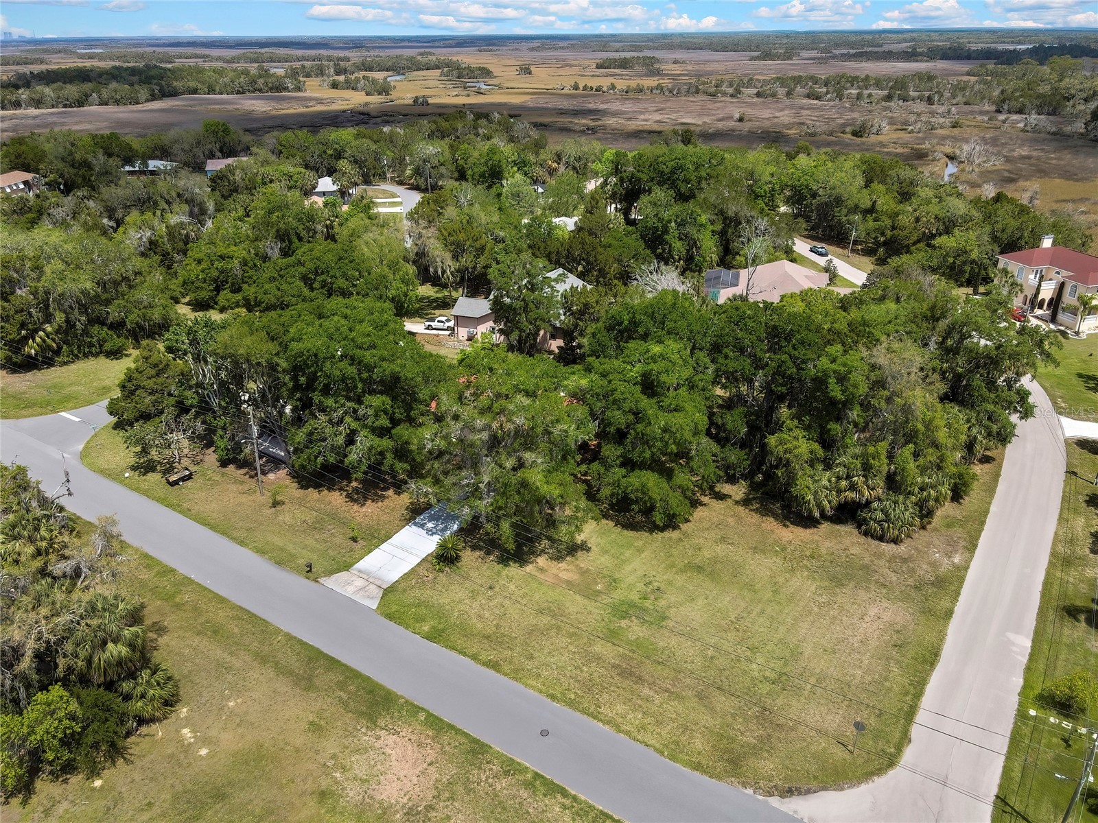 11587 W Timberlane Drive Homosassa FL 34448 OM726752 image54