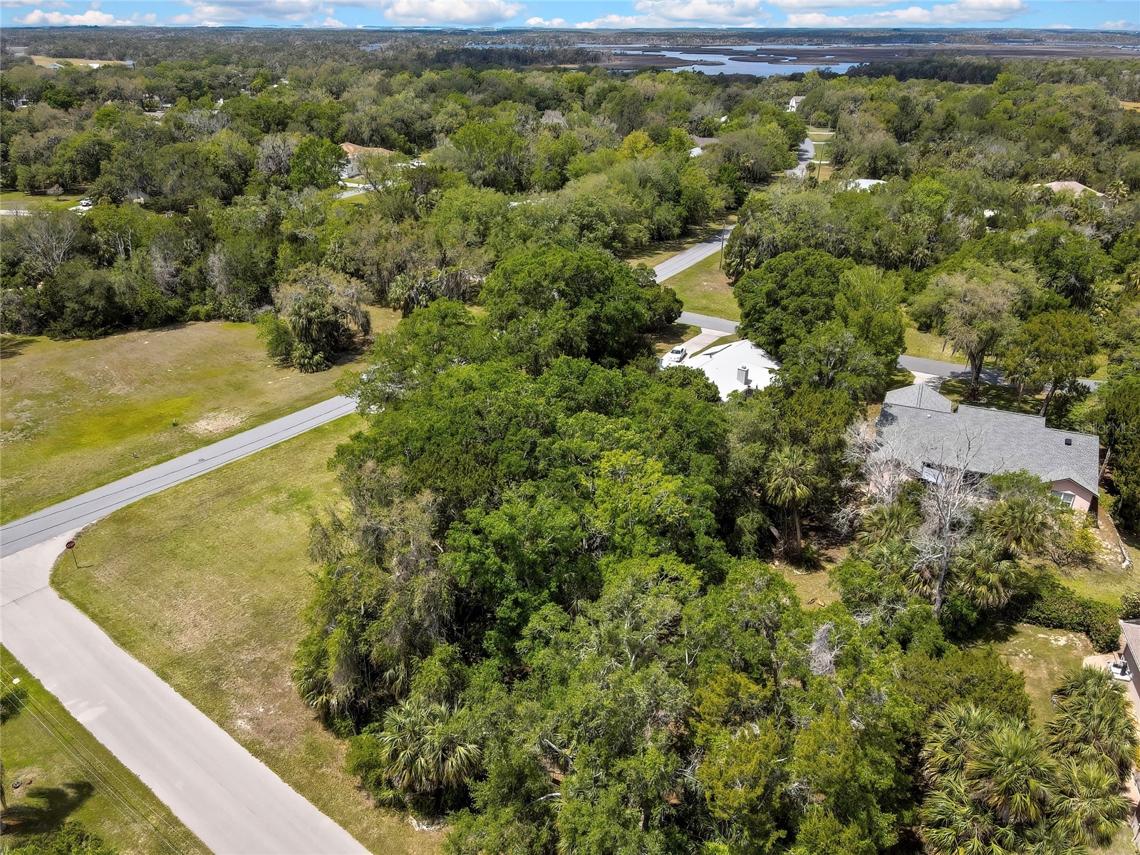11587 W Timberlane Drive Homosassa FL 34448 OM726752 image56