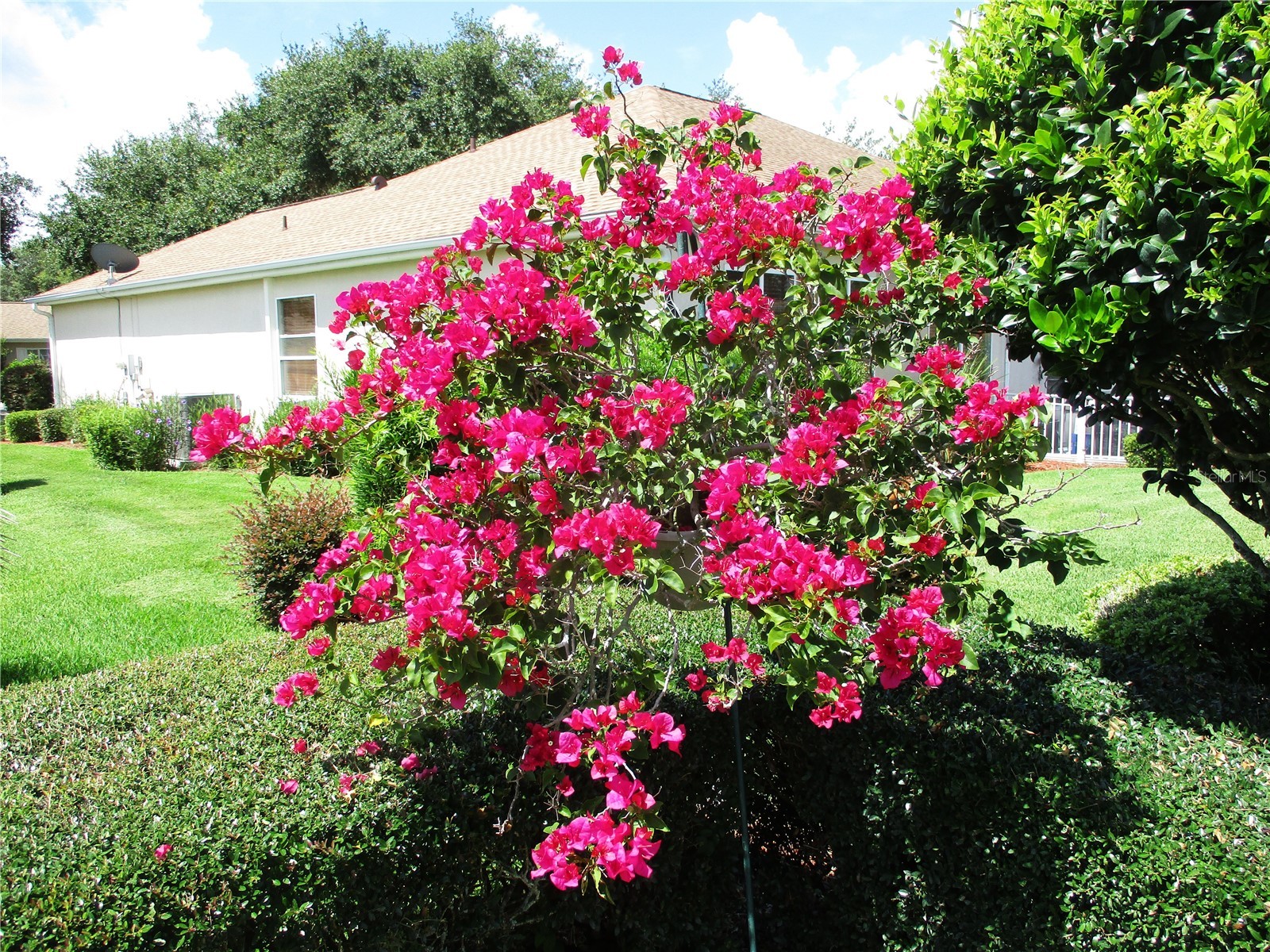 11588 SW 139th Place Dunnellon FL 34432 OM728049 image48
