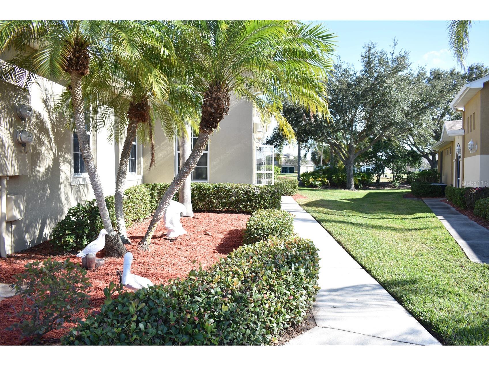 1159 Jameson Greens Drive #10 Sun City Center FL 33573 TB8448726 image3