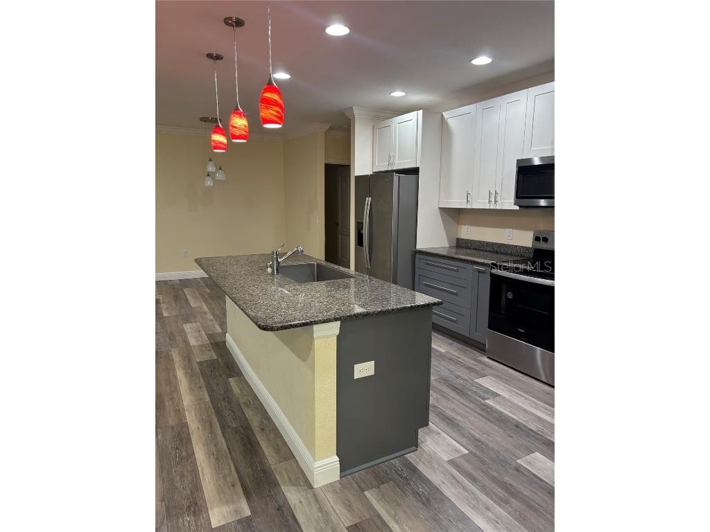 1159 Macfarlane Avenue Spring Hill FL 34608 W7881235 image10