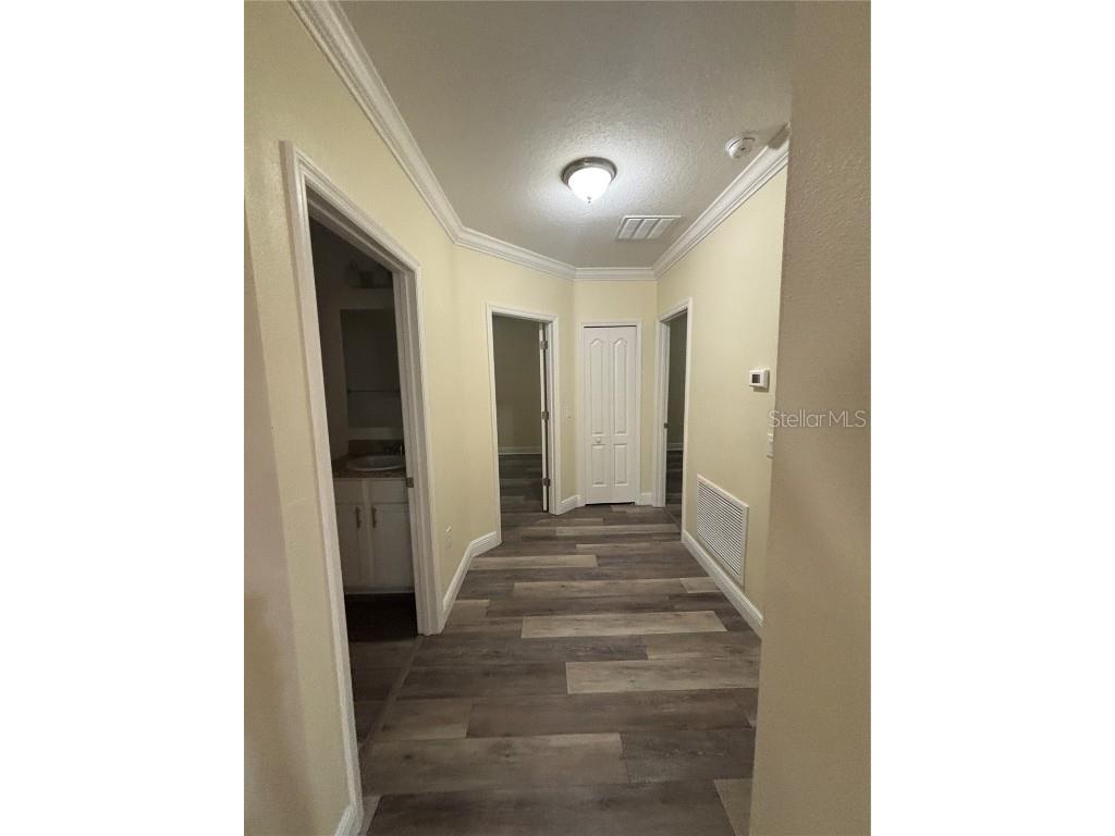 1159 Macfarlane Avenue Spring Hill FL 34608 W7881235 image35