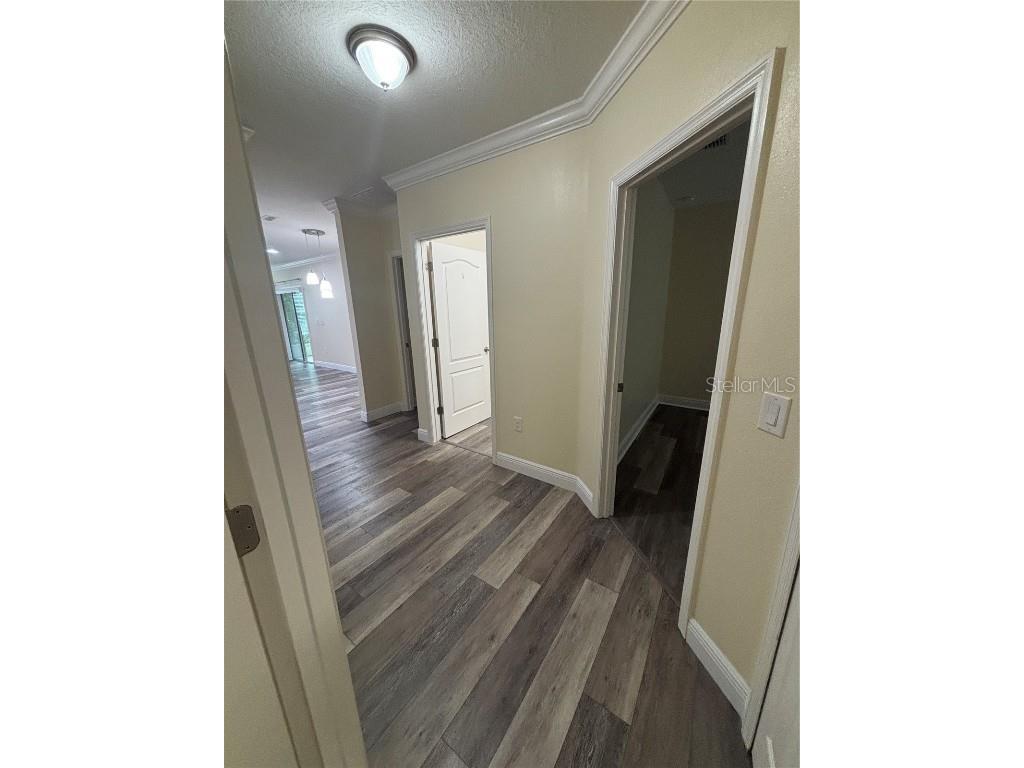 1159 Macfarlane Avenue Spring Hill FL 34608 W7881235 image36