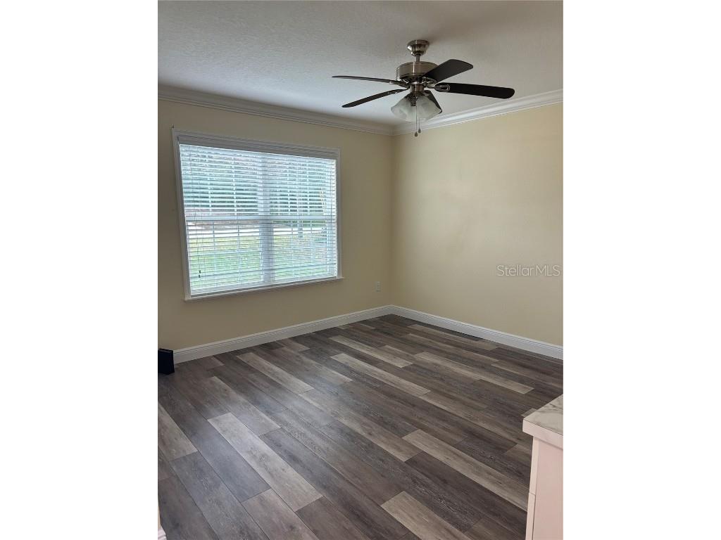 1159 Macfarlane Avenue Spring Hill FL 34608 W7881235 image8