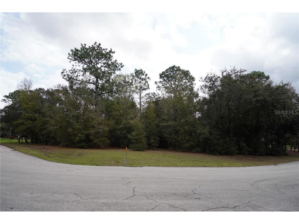 1159 N Nashua Terrace Inverness FL 34453 OM696867 image1