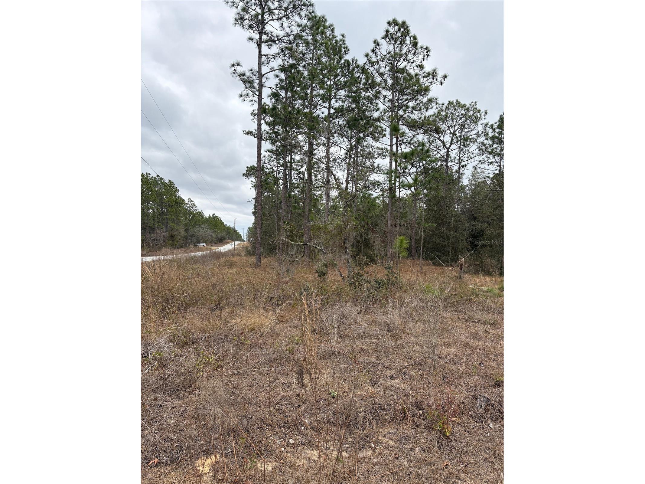 1159 NW Redwood Drive Dunnellon FL 34431 OM718935 image2