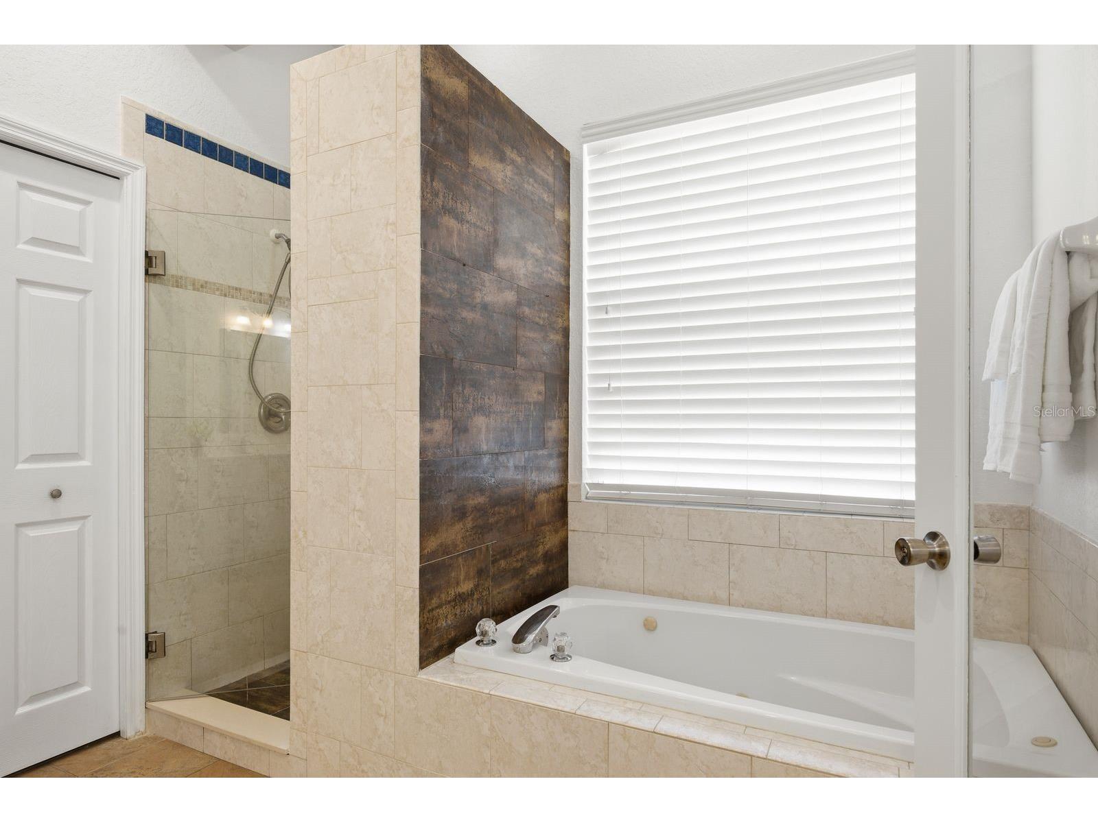 1159 W Curlew Place Tarpon Springs FL 34689 TB8507922 image26