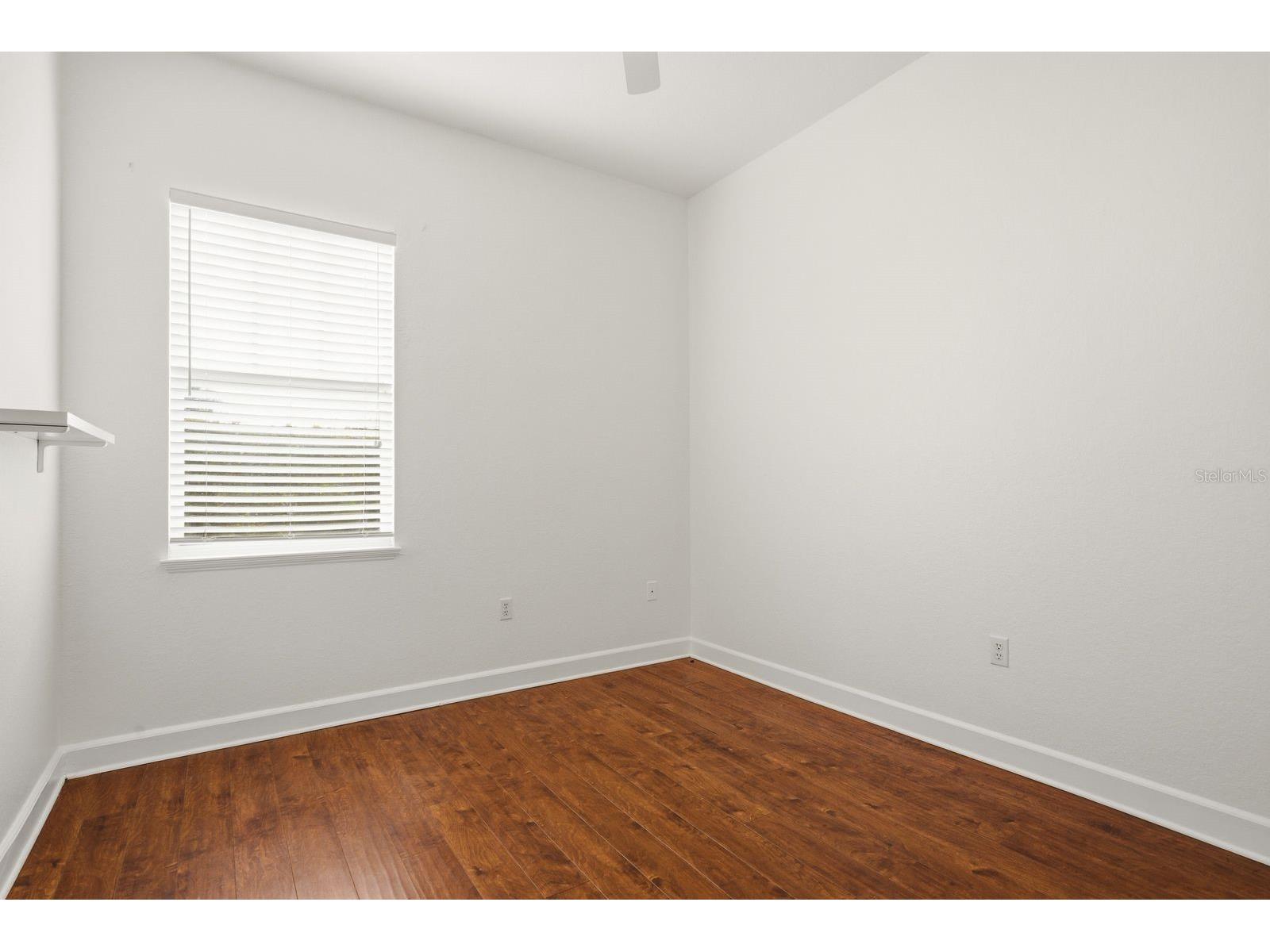 1159 W Curlew Place Tarpon Springs FL 34689 TB8507922 image32