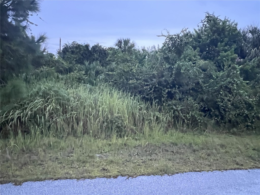 1159 Waterford Street SE Palm Bay FL 32909 S5112860 image1