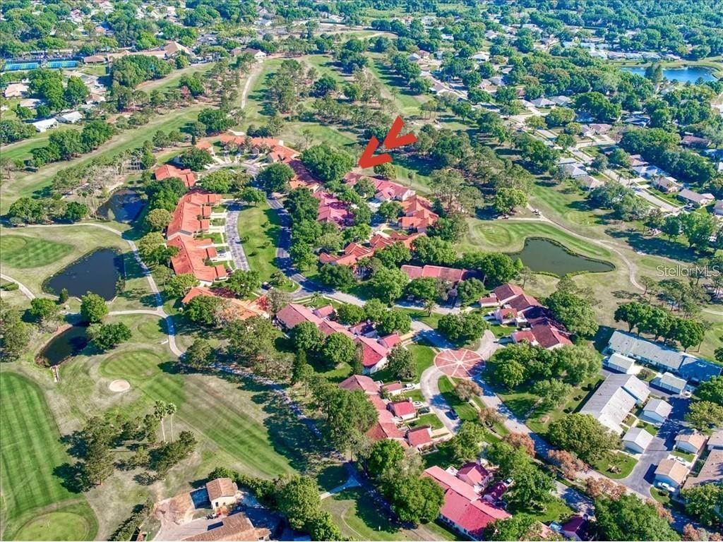 1159 Woodleaf Court Palm Harbor FL 34684 - LAKE TARPON U8219092 image1