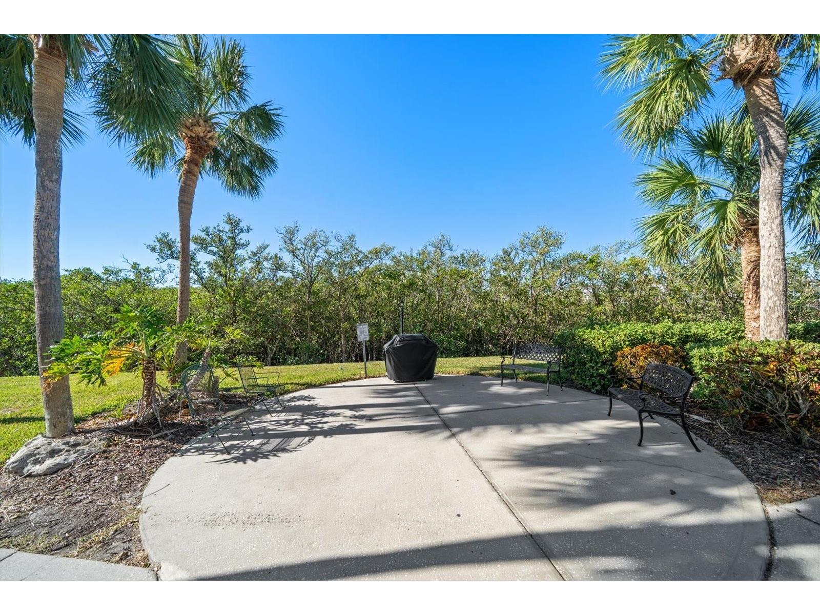 11590 Shipwatch Drive #447 Largo FL 33774 - INTRACOASTAL WATERWAY TB8463927 image51