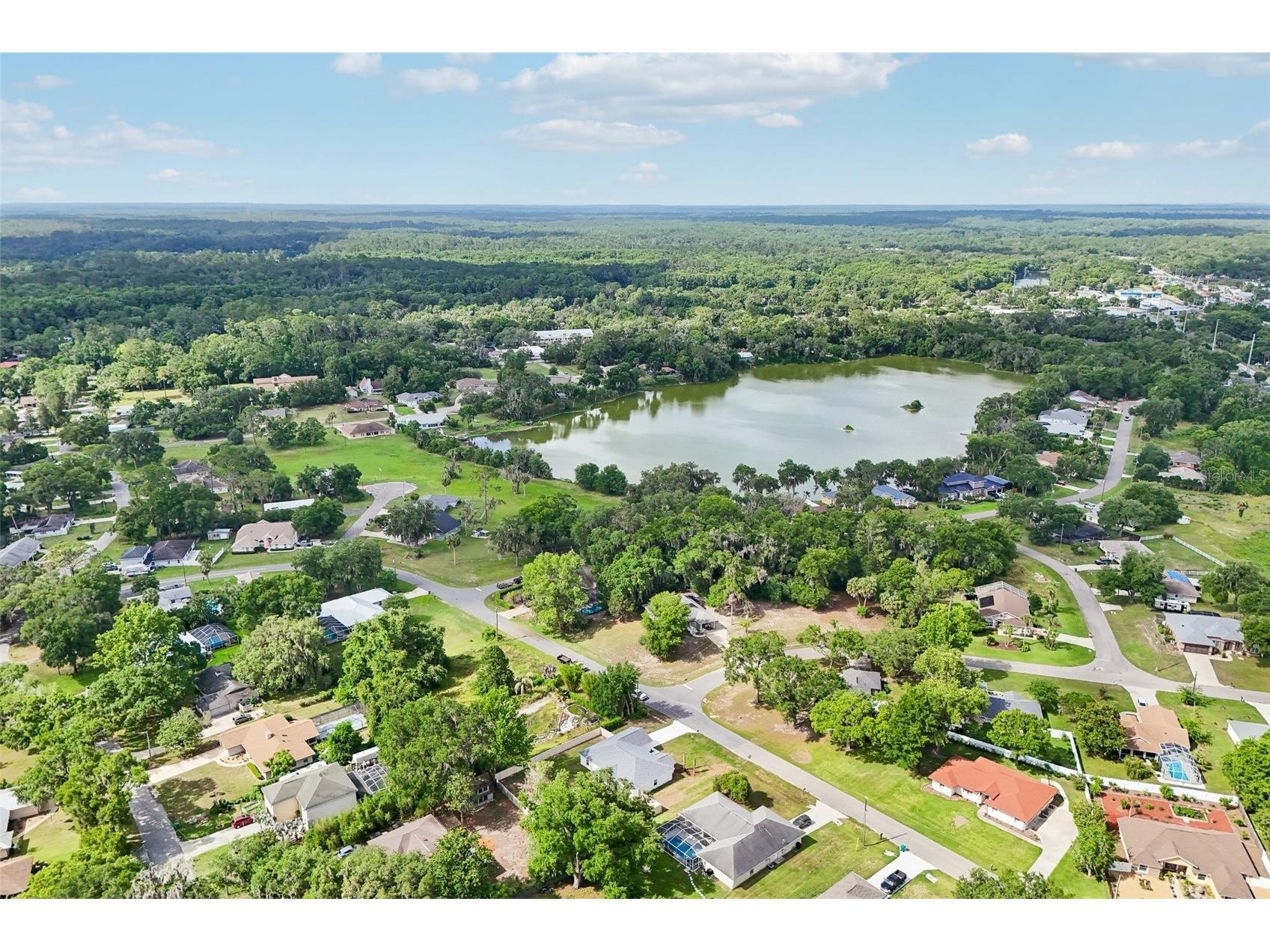 11591 Mockingbird Drive Dunnellon FL 34432 O6411776 image53