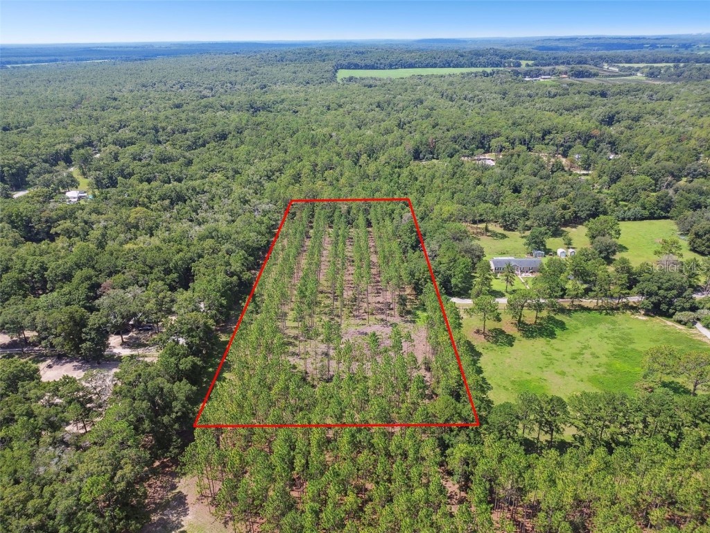 11593 S Aileen Terrace Floral City FL 34436 U8249249 image1