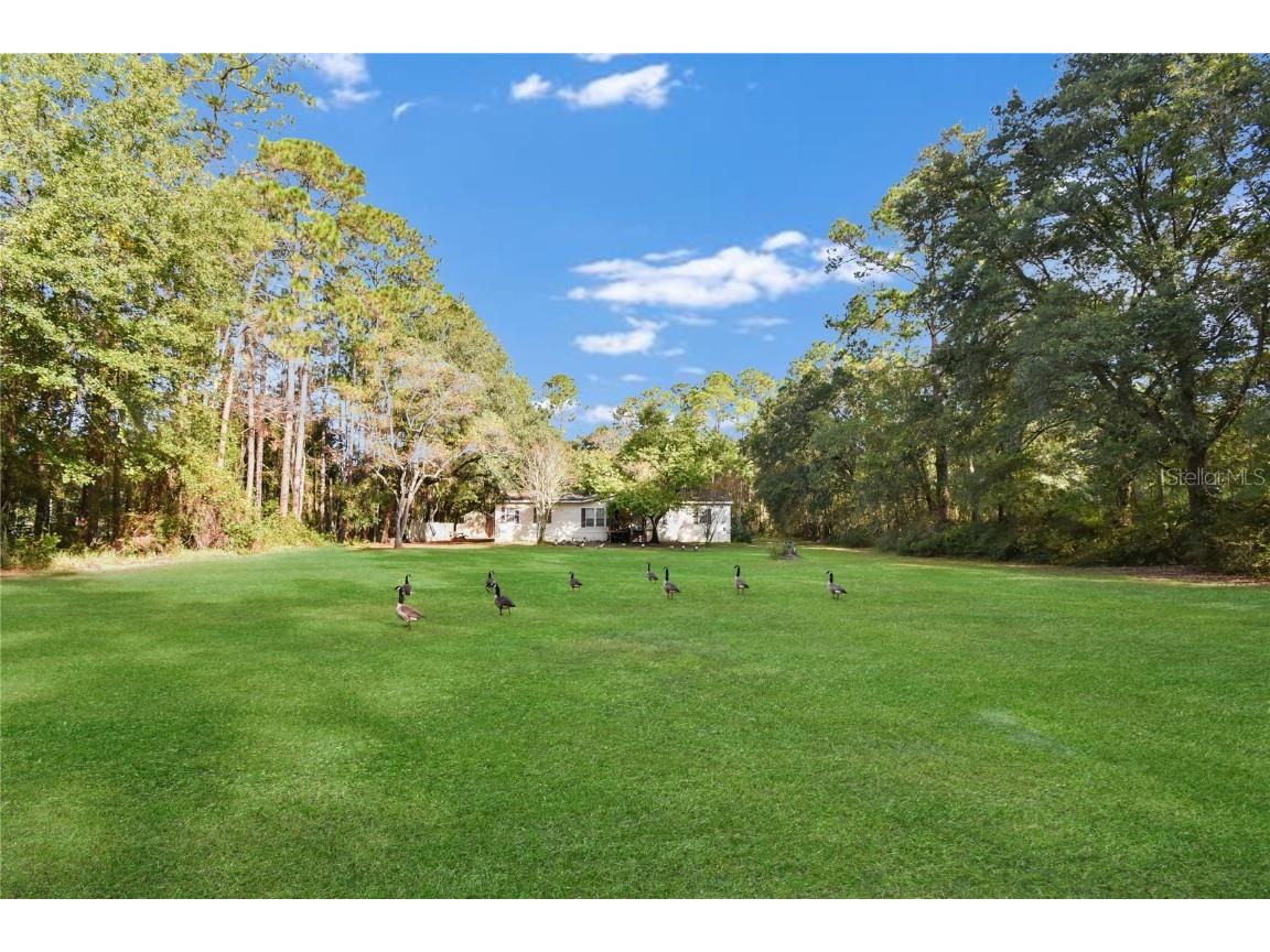 11595 Normandy Boulevard Jacksonville FL 32221 GC535427 image1