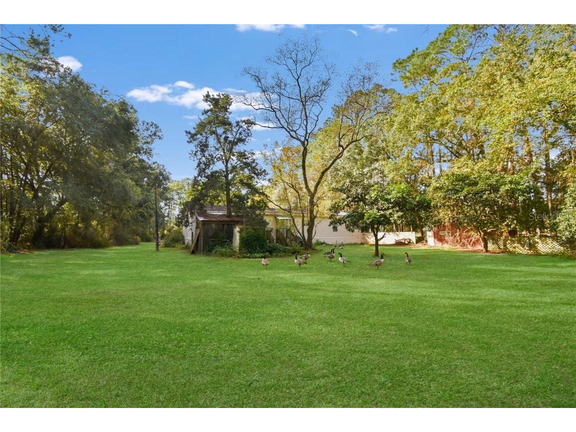 11595 Normandy Boulevard Jacksonville FL 32221 GC535427 image10