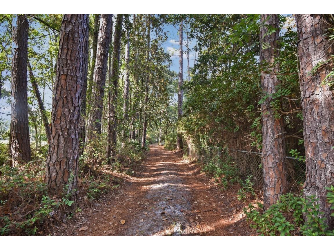 11595 Normandy Boulevard Jacksonville FL 32221 GC535427 image11