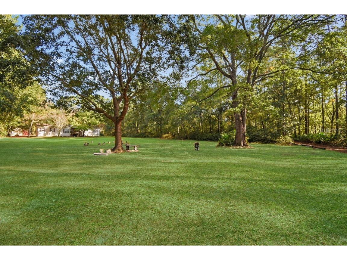 11595 Normandy Boulevard Jacksonville FL 32221 GC535427 image3